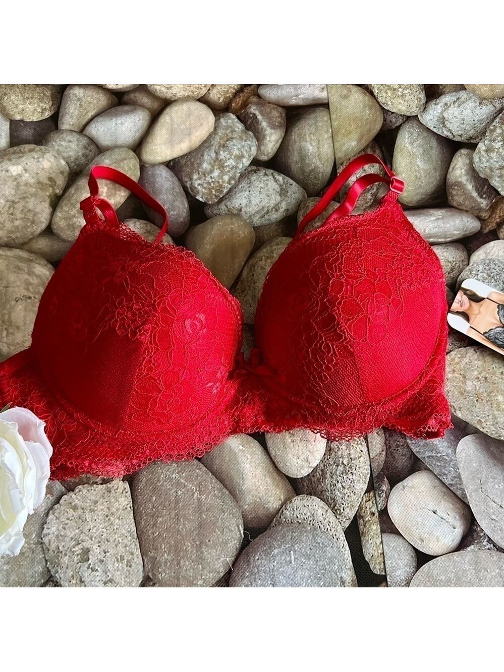 NWT RED LACE BRA-34C